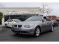 Amethyst Grey Metallic - 5 Series 530xi Sedan Photo No. 1