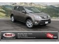 Pyrite Mica - RAV4 Limited AWD Photo No. 1
