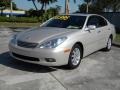 Millennium Silver Metallic - ES 330 Photo No. 7