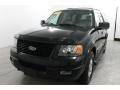 Black Clearcoat - Expedition Limited 4x4 Photo No. 2