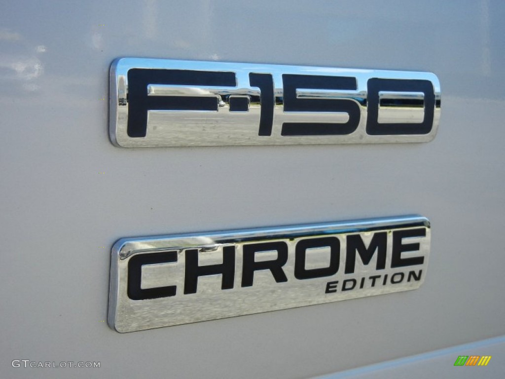 2006 F150 Chrome Edition SuperCab - Silver Metallic / Medium/Dark Flint photo #11
