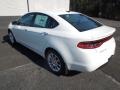 Bright White - Dart Limited Photo No. 4