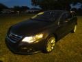 Island Grey Metallic - CC VR6 Sport Photo No. 59