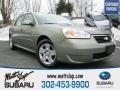 2006 Silver Green Metallic Chevrolet Malibu Maxx LT Wagon  photo #1