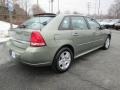 2006 Silver Green Metallic Chevrolet Malibu Maxx LT Wagon  photo #6