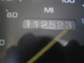 Dark Spruce Green Metallic - Ram Van 2500 Conversion Photo No. 10