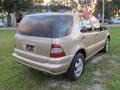 2004 Desert Silver Metallic Mercedes-Benz ML 350 4Matic  photo #4