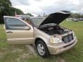 Desert Silver Metallic - ML 350 4Matic Photo No. 41