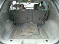 Dark Gray Trunk Photo for 2008 Chevrolet Equinox #76829919