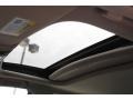 Graphite Luster Metallic - TL Technology Photo No. 24