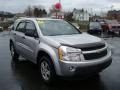 2006 Galaxy Silver Metallic Chevrolet Equinox LS  photo #10