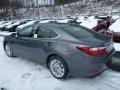 Nebula Gray Pearl - ES 350 Photo No. 2