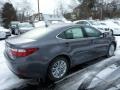 Nebula Gray Pearl - ES 350 Photo No. 4