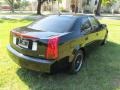 Black Raven - CTS Sedan Photo No. 44