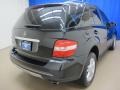 Black - ML 350 4Matic Photo No. 8