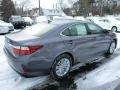 Nebula Gray Pearl - ES 350 Photo No. 4