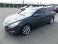 2013 Pacific Blue Pearl Hyundai Sonata SE  photo #2