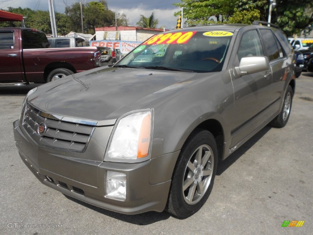 Cashmere Metallic 2004 Cadillac SRX V8 Exterior Photo #76852300