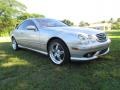 Brilliant Silver Metallic - CL 500 Photo No. 3