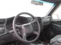 Light Pewter Metallic - S10 Extended Cab 4x4 Photo No. 10