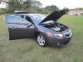 Grigio Metallic - TSX Sedan Photo No. 45