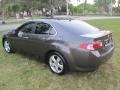 Grigio Metallic - TSX Sedan Photo No. 65