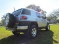 Titanium Metallic - FJ Cruiser  Photo No. 4