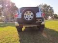 Titanium Metallic - FJ Cruiser  Photo No. 5