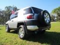 Titanium Metallic - FJ Cruiser  Photo No. 6