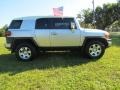 Titanium Metallic - FJ Cruiser  Photo No. 13