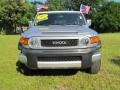 Titanium Metallic - FJ Cruiser  Photo No. 15