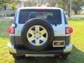 Titanium Metallic - FJ Cruiser  Photo No. 16