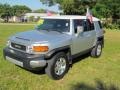 Titanium Metallic - FJ Cruiser  Photo No. 39