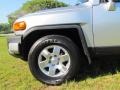 Titanium Metallic - FJ Cruiser  Photo No. 44
