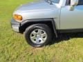 Titanium Metallic - FJ Cruiser  Photo No. 45