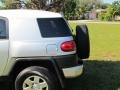 Titanium Metallic - FJ Cruiser  Photo No. 51