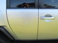 Titanium Metallic - FJ Cruiser  Photo No. 55