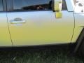 Titanium Metallic - FJ Cruiser  Photo No. 59