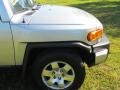Titanium Metallic - FJ Cruiser  Photo No. 60