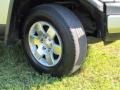 Titanium Metallic - FJ Cruiser  Photo No. 61