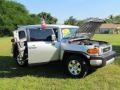 Titanium Metallic - FJ Cruiser  Photo No. 69