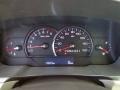 Shale/Cocoa Gauges Photo for 2010 Cadillac DTS #76861773