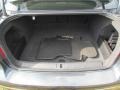 2009 Volkswagen Passat Classic Grey Interior Trunk Photo
