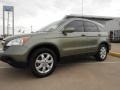 2008 Green Tea Metallic Honda CR-V EX-L  photo #3