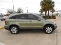 Green Tea Metallic 2008 Honda CR-V EX-L Exterior