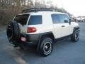 Sandstorm - FJ Cruiser Trail Teams Special Edition 4WD Photo No. 3