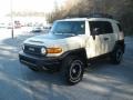 Sandstorm - FJ Cruiser Trail Teams Special Edition 4WD Photo No. 11