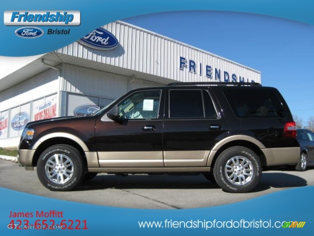 Kodiak Brown Ford Expedition