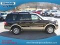 2013 Kodiak Brown Ford Expedition XLT 4x4  photo #5