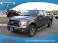 2013 Sterling Gray Metallic Ford F150 STX SuperCab 4x4  photo #3